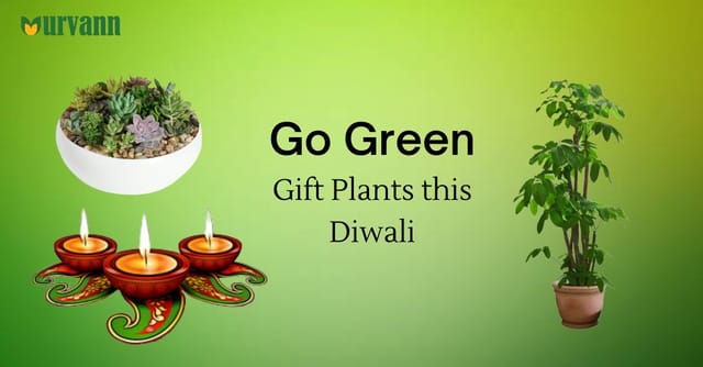 Buy Sustainable & Eco-friendly Diwali corporate Gifts Online.