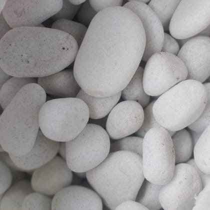 Buy Decorative Big White Stone - 500gm Online | Urvann.com