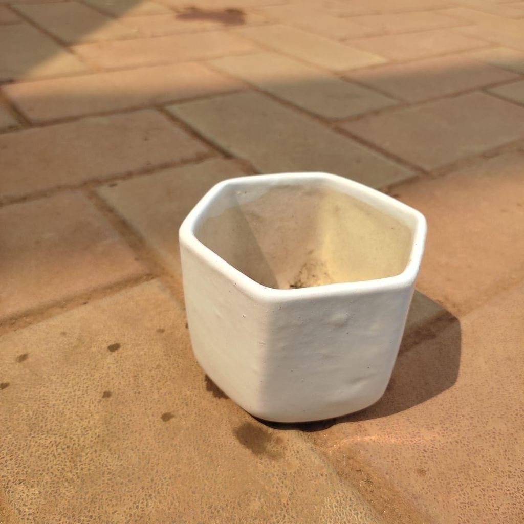 3 Inch White Classy Hexagonal Ceramic Pot
