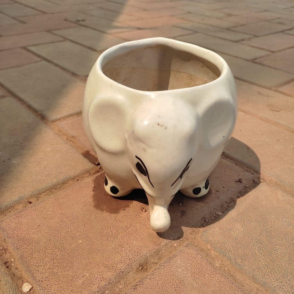 5 Inch Elephant Designer Ceramic Pot (any colour)