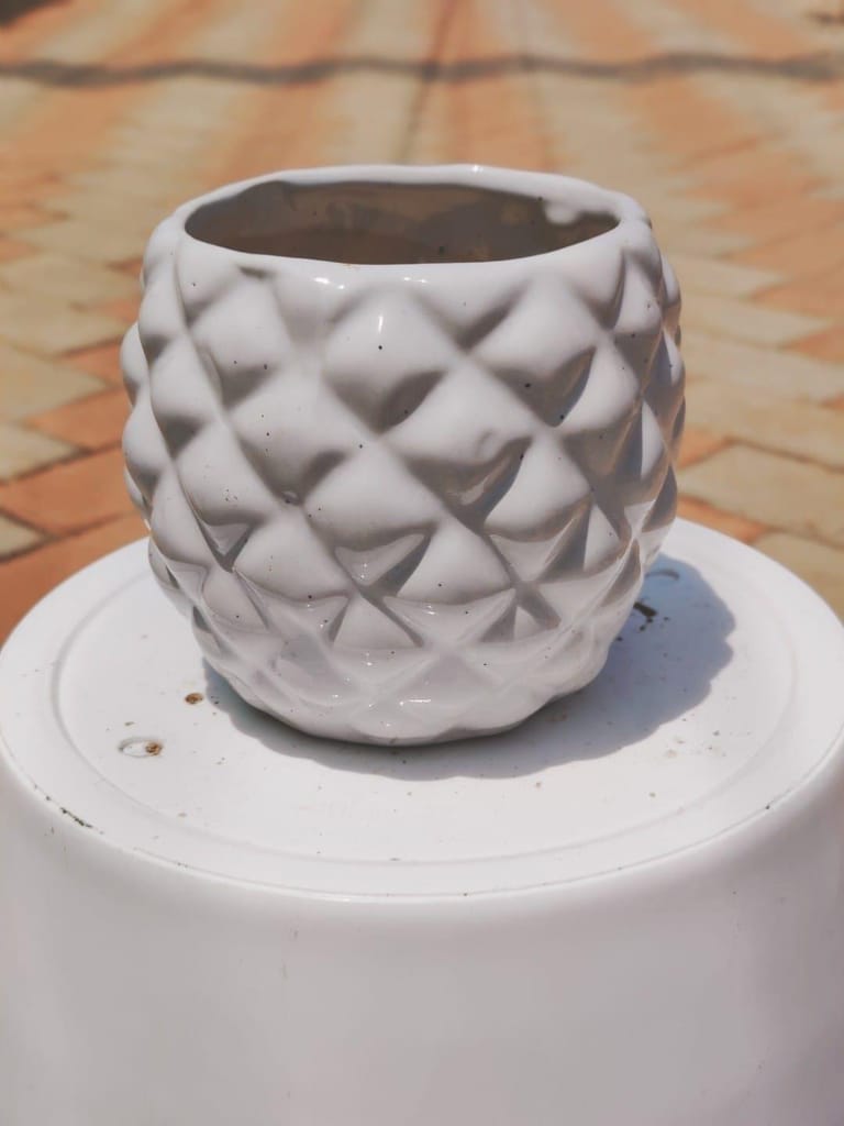 4 Inch White Ceramic Pineapple Pot,Pots:Ceramic Planters:Royal Ceramic Pots