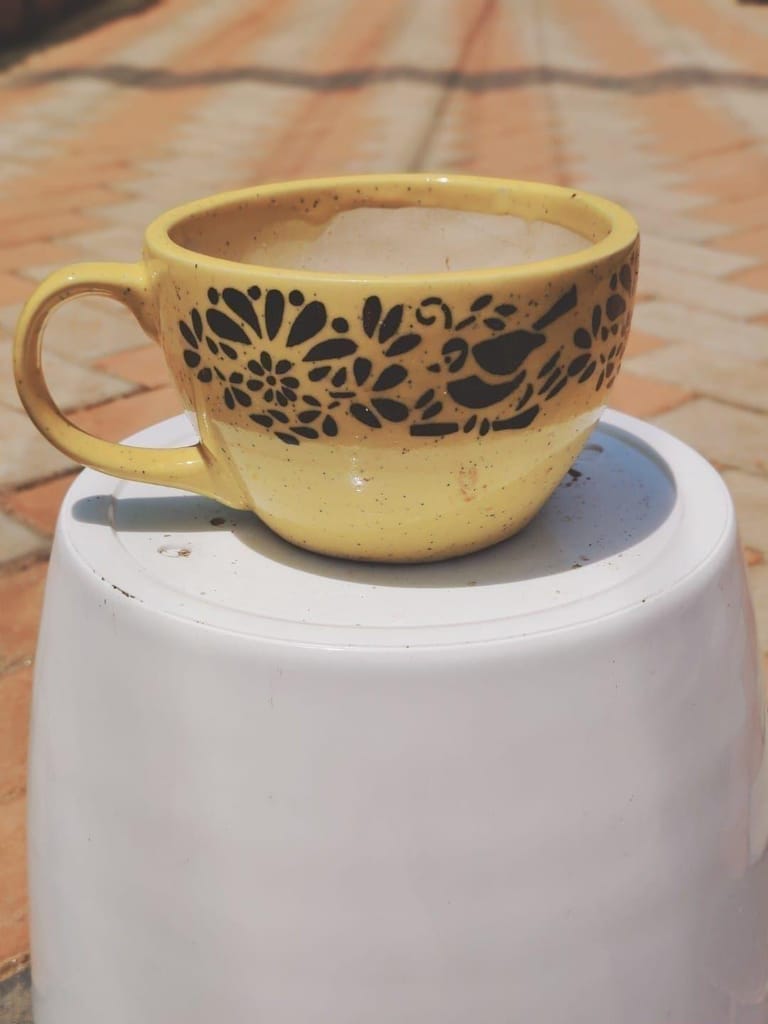 6 Inch Floral Cup Designer Ceramic Pot (any colour)