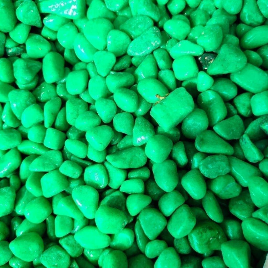 Decorative Green Medium Pebbles - 500 Gm