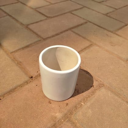 Buy 3 Inch White Classy Cylindrical Ceramic Pot Online | Urvann.com