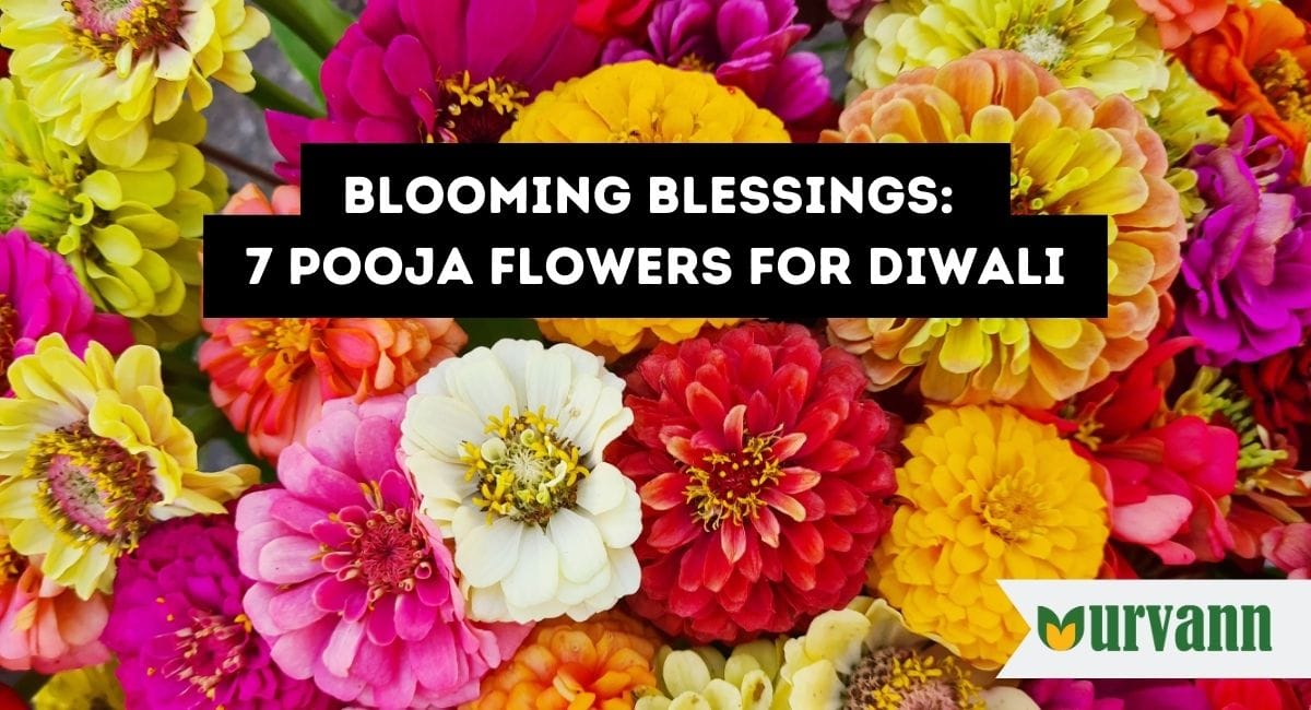 Blooming Blessings: 7 Pooja Flowers for Diwali