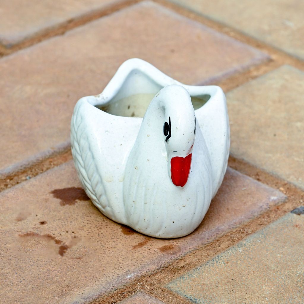 3 Inch Cute Duck Designer Ceramic Pot (any colour)