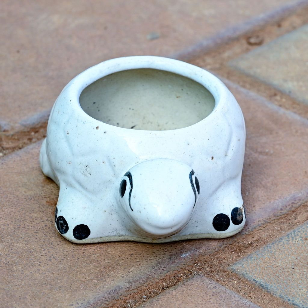 2 Inch Turtle Designer Ceramic Pot (any colour)