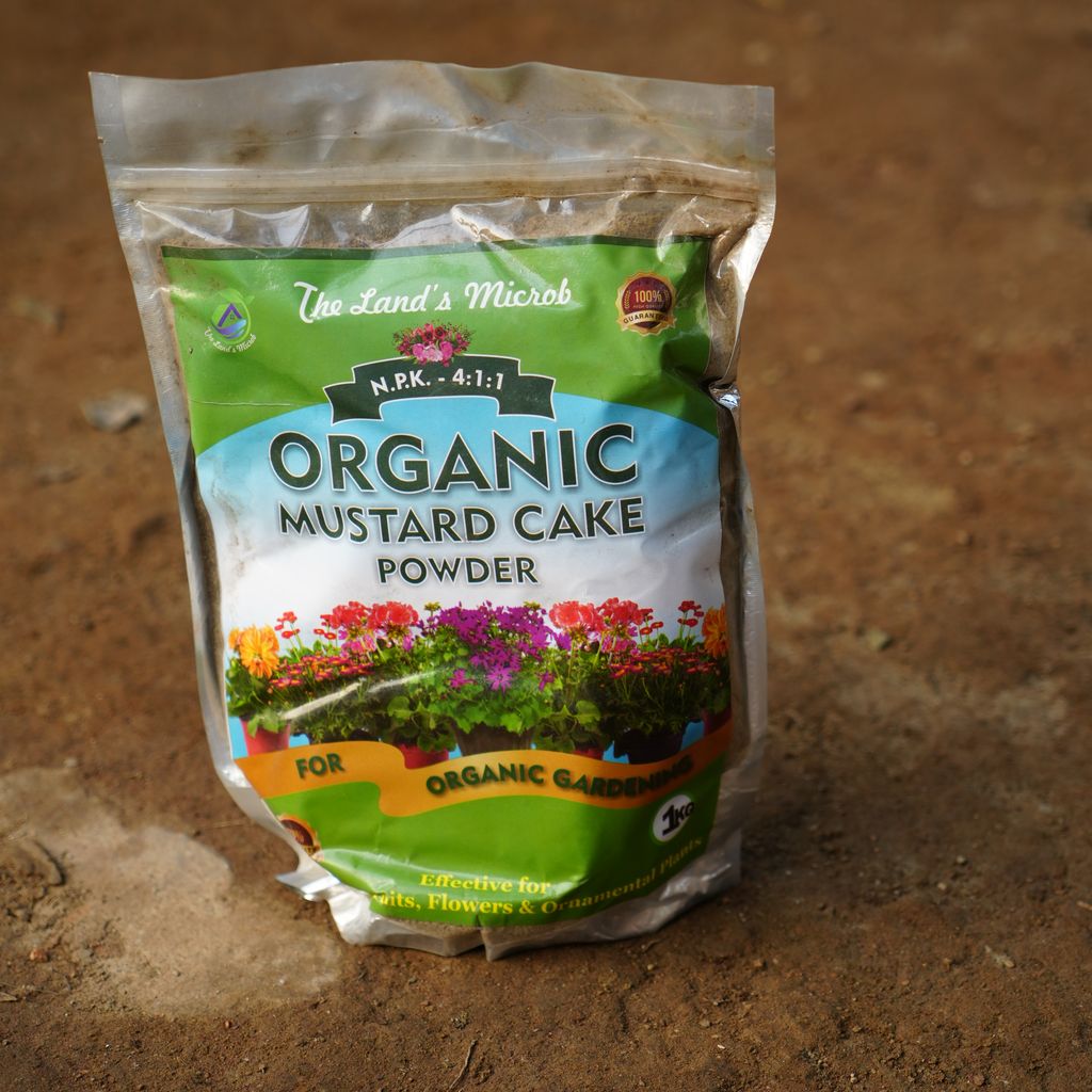 The Land's Microbe Mustard Cake - 1 kg