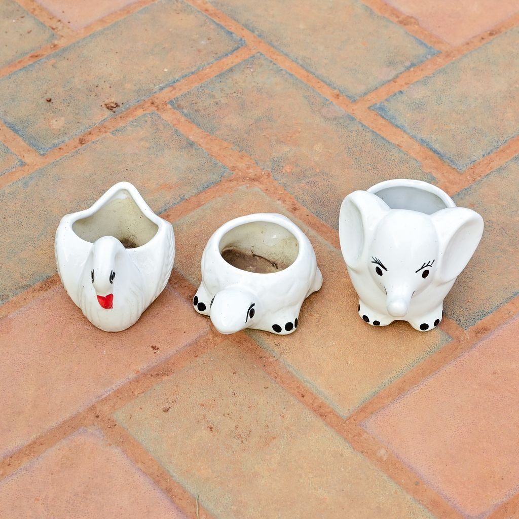 Set of 3 - 3 Inch Elephant, Duck & Turtle Designer Ceramic Pot (any colour)