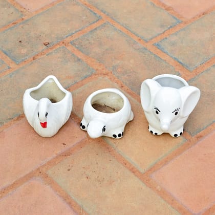 Buy Set of 3 - 3 Inch Elephant, Duck & Turtle Designer Ceramic Pot (any colour) Online | Urvann.com