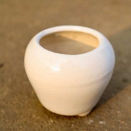 Buy 4 Inch White Classy Apple Designer Ceramic Pot Online | Urvann.com