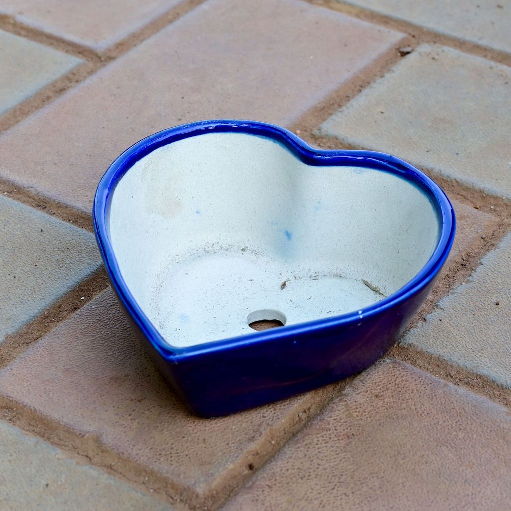 8 Inch Cute Heart Shaped Ceramic Pot (any colour)