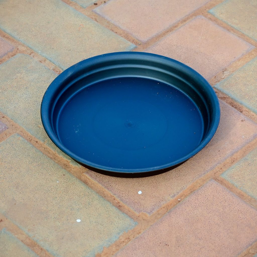 Free Next Day Delivery 12 Inch Black Plastic Tray