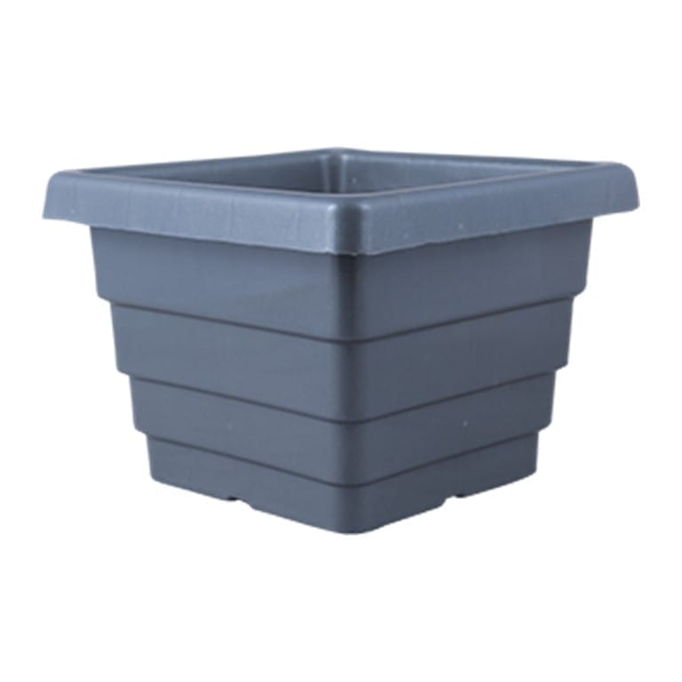 Free Gift - 4 Inch Grey Premium Orchid Square Plastic Pot - Flash Sale