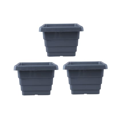 Buy Set of 03 - 4 Inch Grey Premium Orchid Square Plastic Pot Online | Urvann.com