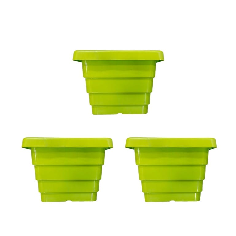 Set of 03 - 8 Inch Green Premium Orchid Square Plastic Pot