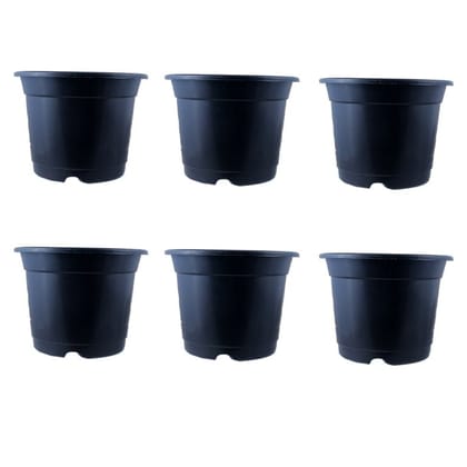 Buy Set of 06 - 4 Inch Black Nursery Pot Online | Urvann.com