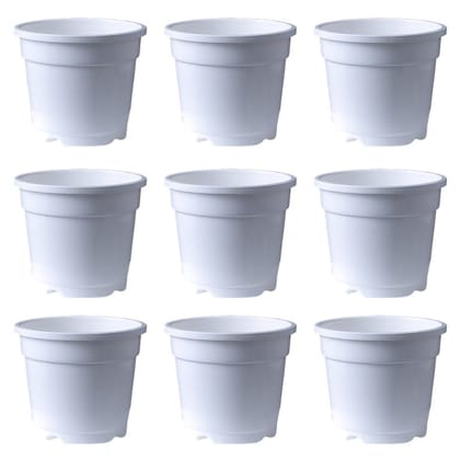 Buy Set of 09 - 10 Inch White Nursery Pot Online | Urvann.com