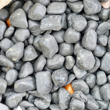 Buy Decorative Large Black Pebbles - 1 Kg Online | Urvann.com