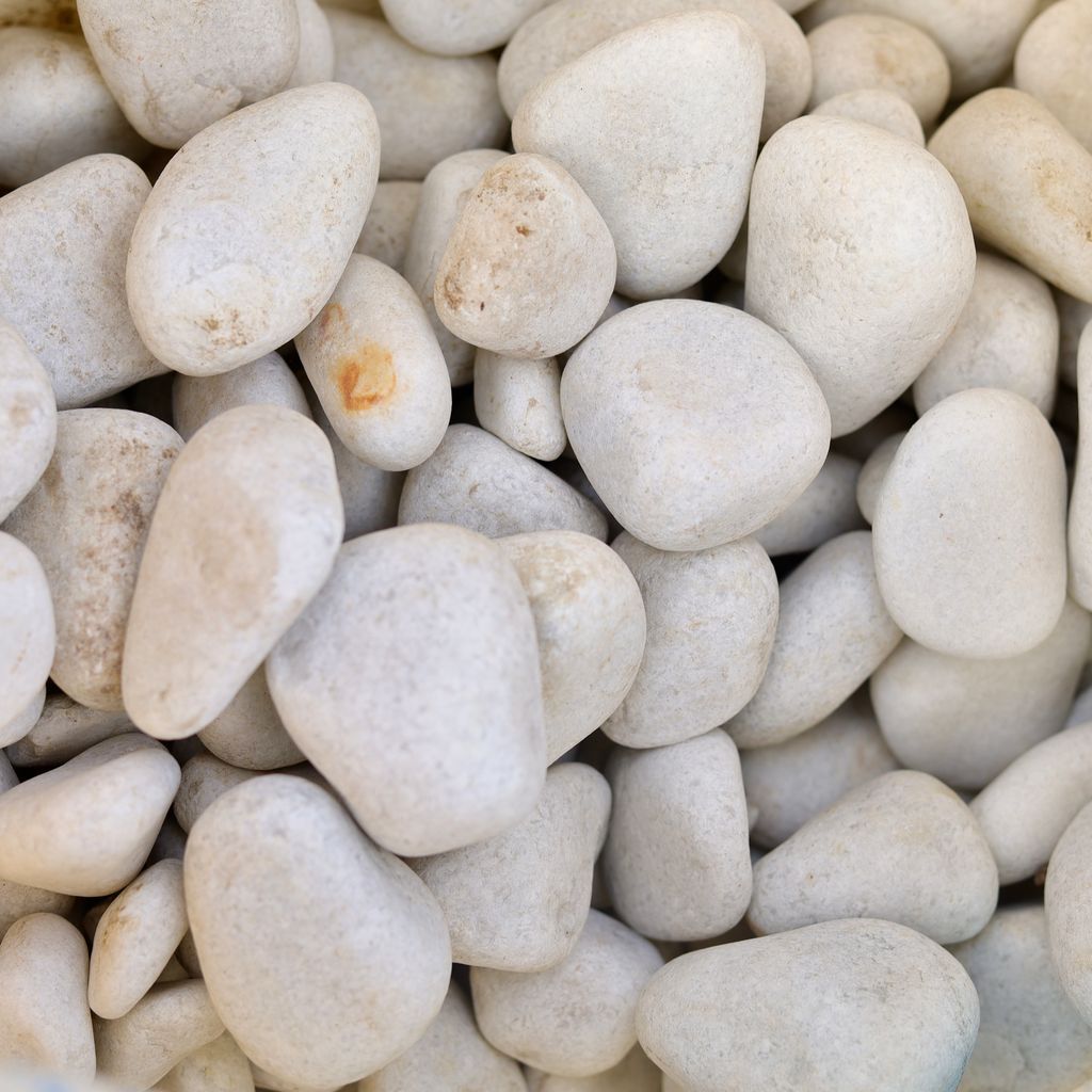 Decorative White Big Pebbles - 1 Kg