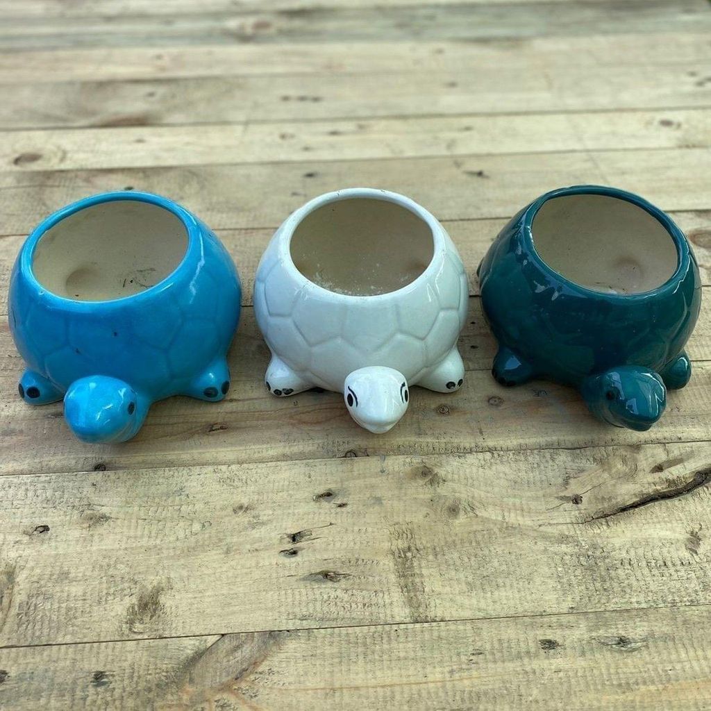 Set of 3 - 5 X 7 Inch Elegant Turtle Designer Ceramic Pot (any colour)