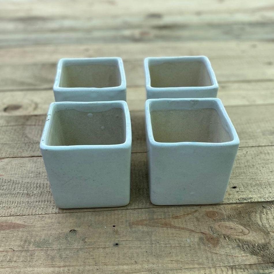 Set of 4 - 4 X 5 Inch White Classy Square Ceramic Pot