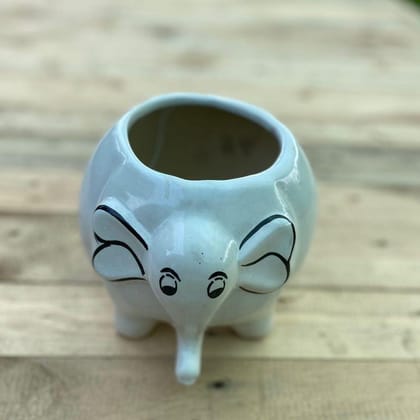 Buy 5 X 7 Inch White Cute Elephant Designer Ceramic Pot Online | Urvann.com