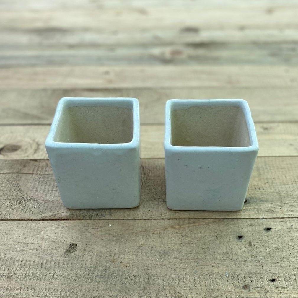 Set of 2 - 4 X 5 Inch White Classy Square Ceramic Pot