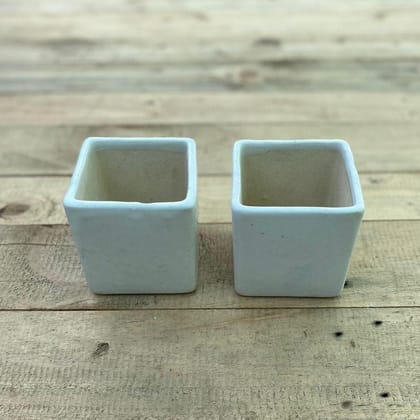 Buy Set of 2 - 4 X 5 Inch White Classy Square Ceramic Pot Online | Urvann.com