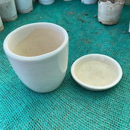 4 Inch White Cup Ceramic Pot with Plate,Pots:Ceramic Planters:Royal Ceramic Pots