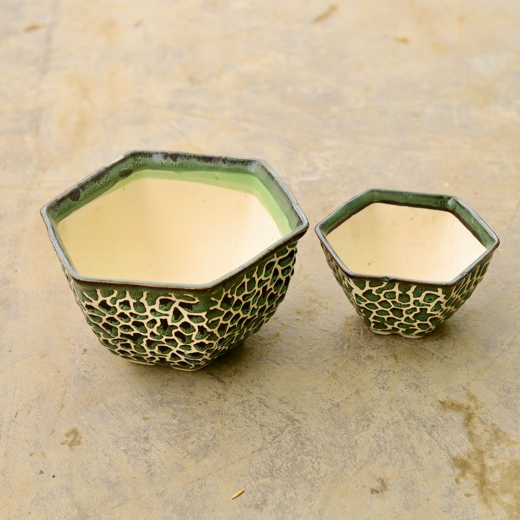 Set of 2 - 4 & 6 Inch Hexagonal Ceramic Pot (any colour & design)