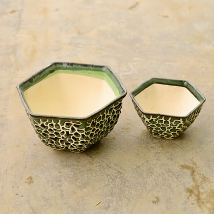 Buy Set of 2 - 4 & 6 Inch Hexagonal Ceramic Pot (any colour & design) Online | Urvann.com