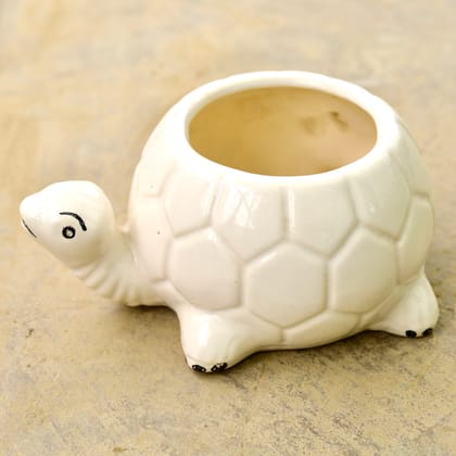 Buy 6 Inch Cute Turtle Designer Ceramic Pot (any colour & design) Online | Urvann.com