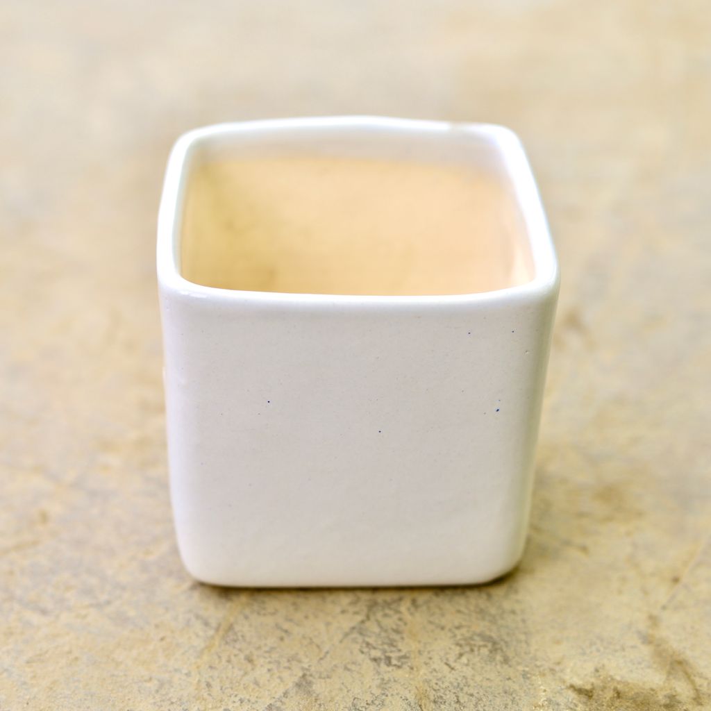 4 Inch Classy White Square Ceramic Pot