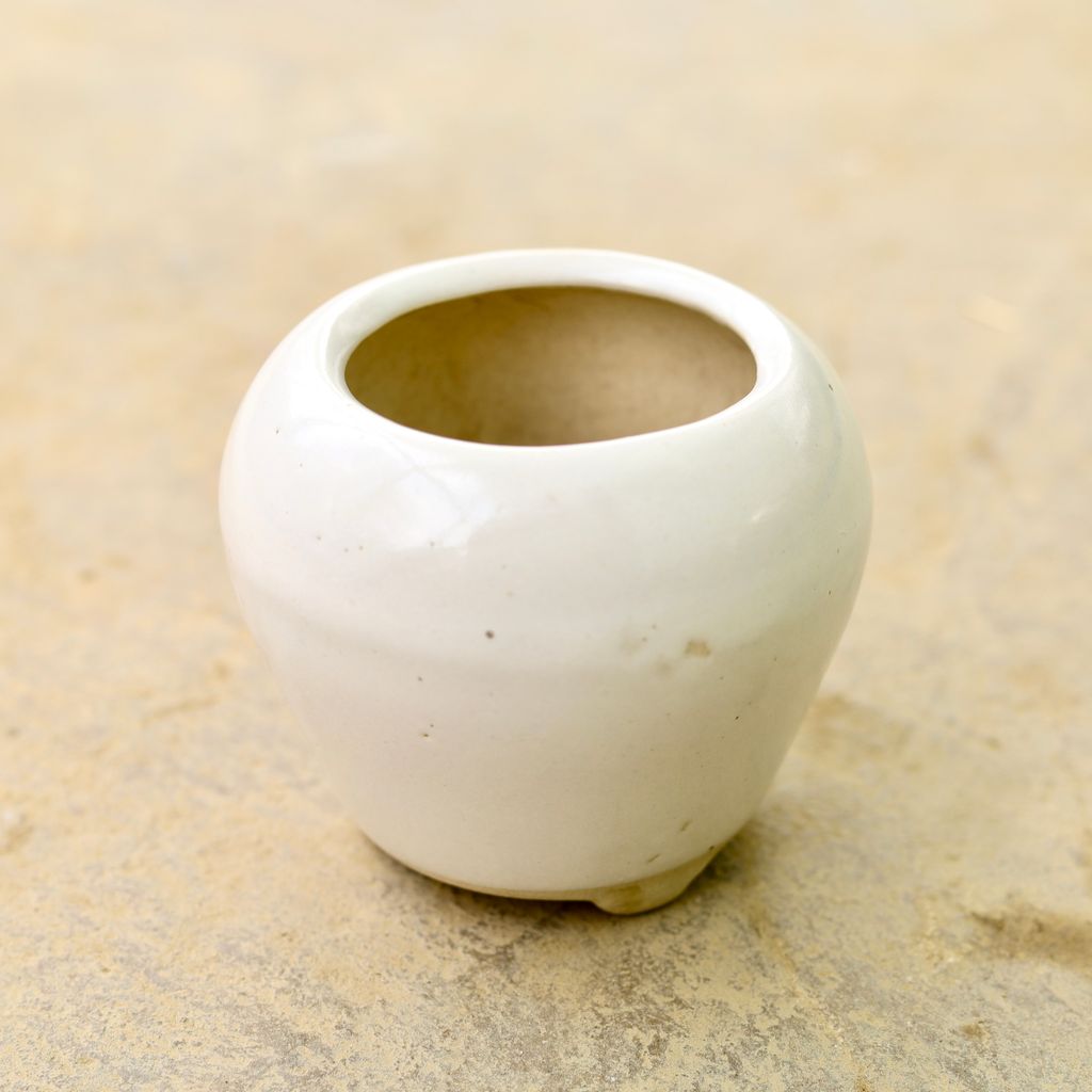 4 Inch Apple Ceramic pot (any Colour & Design)