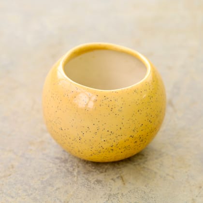 Buy 4 Inch Classy Bowl Ceramic Pot (any colour & design) Online | Urvann.com