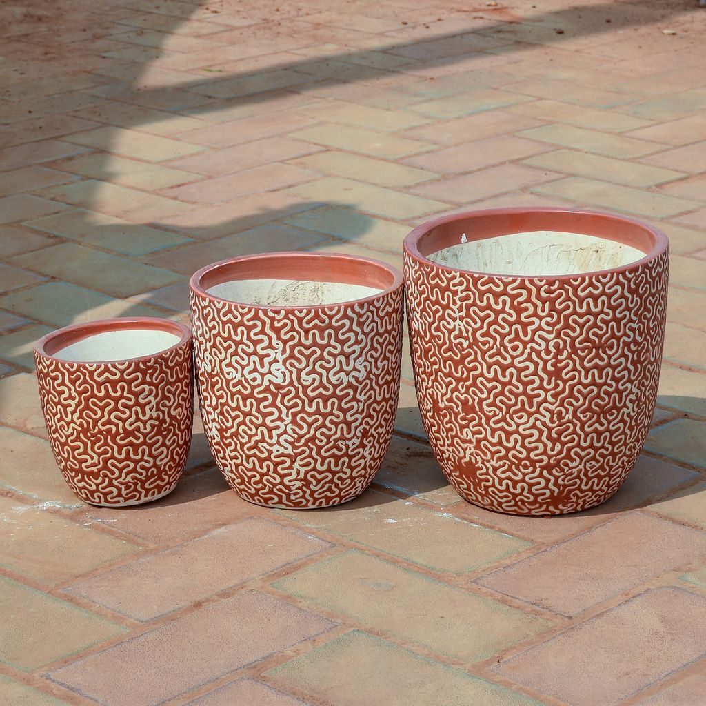 Set of 3 - 5,7 & 9 Inch Classy Cup Designer Ceramic Pot (any colour & design),Pots:Ceramic Planters:Royal Ceramic Pots