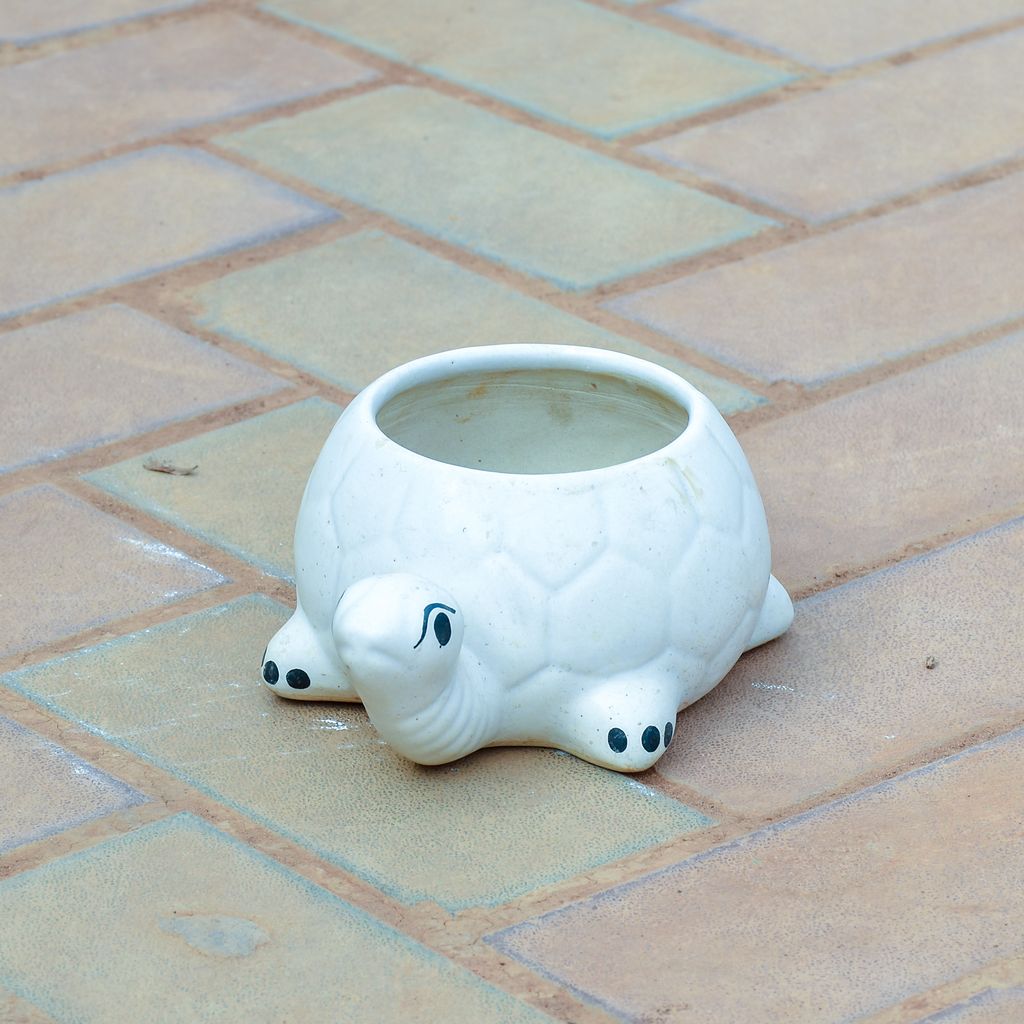 3 Inch Cute Tortoise Designer Ceramic Pot (any colour & design)