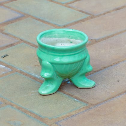 Buy 4 Inch Cute Rabbit leg Designer Ceramic Pot (any colour & design) Online | Urvann.com