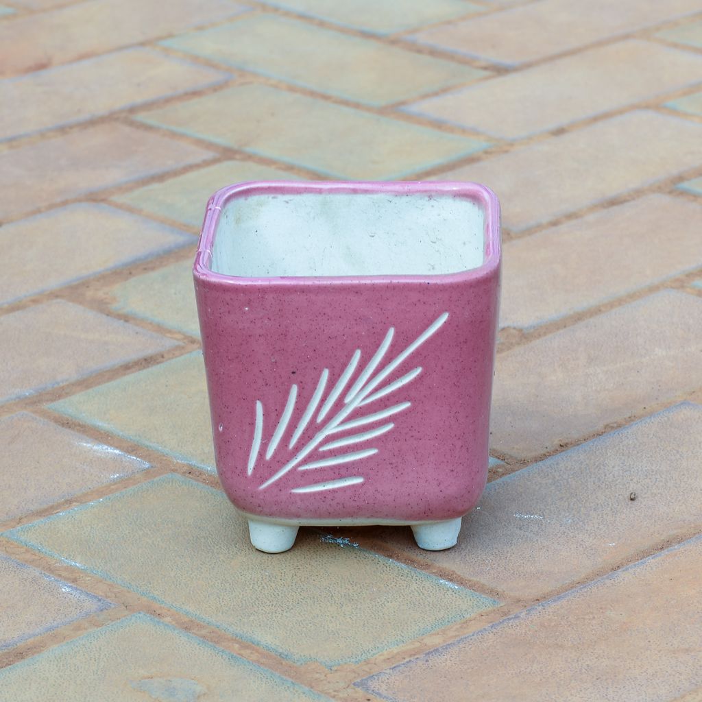 5 Inch Square Legged Designer Ceramic Pot (any colour & design)