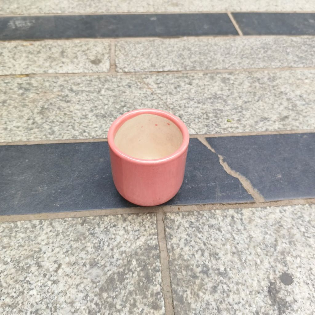 3 Inch Classy Cylindrical Ceramic Pot (any colour)