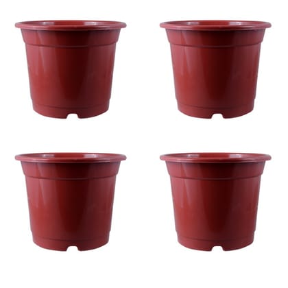 Buy Set of 04 - 8 Inch Red Nursery Pot Online | Urvann.com