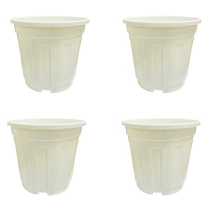 Buy Set of 04 - 6 Inch White Super Nursery Pot Online | Urvann.com