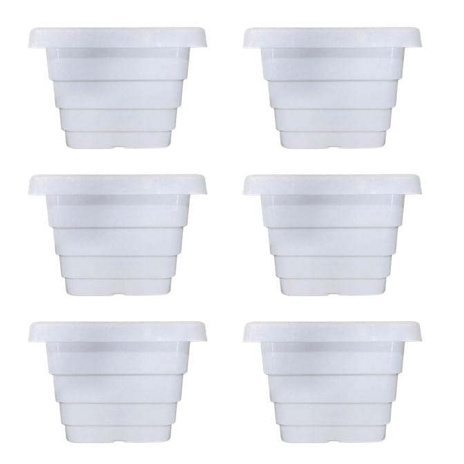 Set of 06 - 4 Inch White Premium Orchid Square Plastic Pot