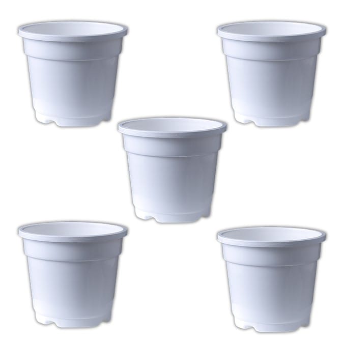 Set of 05 - 4 Inch White Nursery Pot