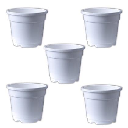 Buy Set of 05 - 4 Inch White Nursery Pot Online | Urvann.com