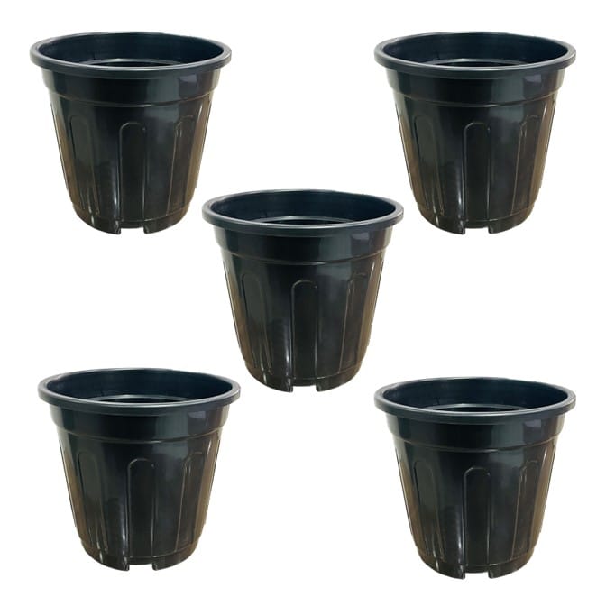 Set of 05 - 6 Inch Black Super Nursery Pot