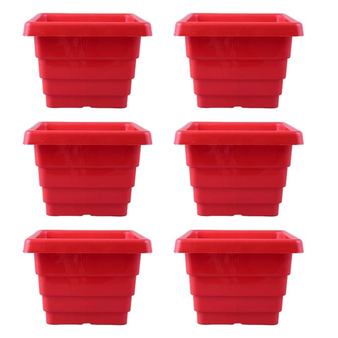 Set of 06 - 4 Inch Red Premium Orchid Square Plastic Pot