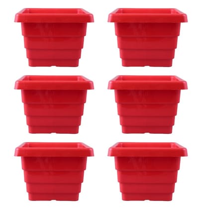 Buy Set of 06 - 4 Inch Red Premium Orchid Square Plastic Pot Online | Urvann.com