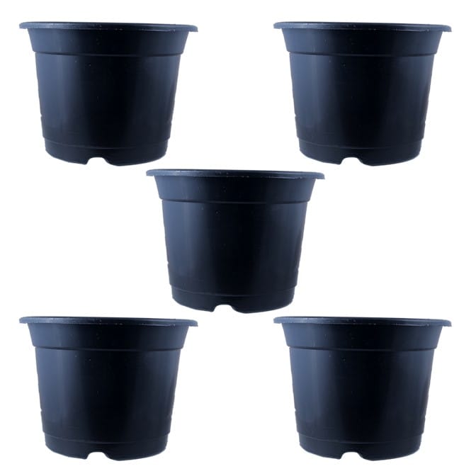 Set of 05 - 4 Inch Black Nursery Pot